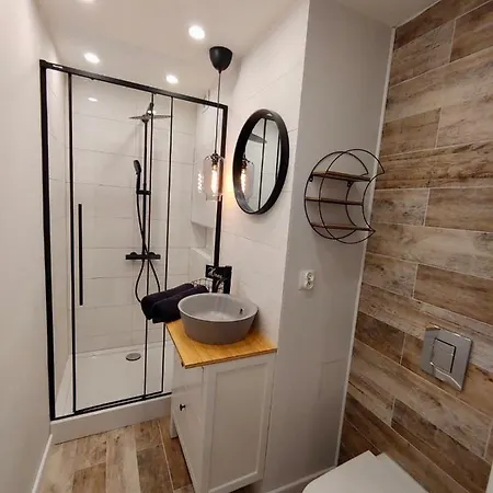 Διαμέρισμα Loft House Σόποτ